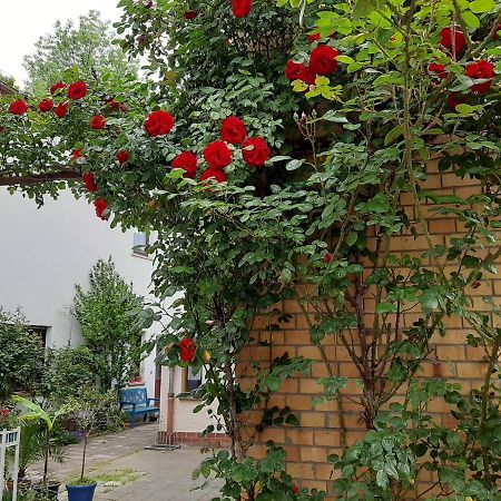 Fewo Rosenbluete Am Stadtpark Wittenberg Εξωτερικό φωτογραφία