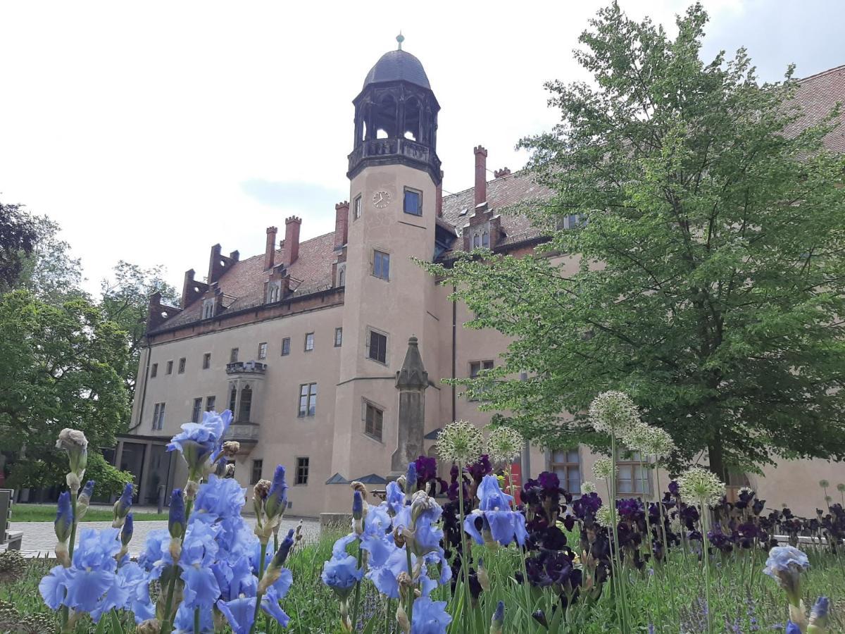 Fewo Rosenbluete Am Stadtpark Wittenberg Εξωτερικό φωτογραφία