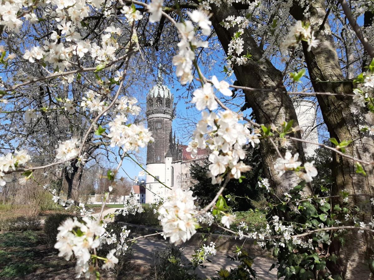Fewo Rosenbluete Am Stadtpark Wittenberg Εξωτερικό φωτογραφία